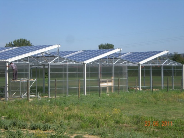 91 kWp Tregozzano (AR)